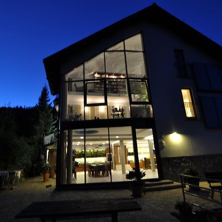 Jasminowe Ogrody Bed & Breakfast Щирк Екстериор снимка